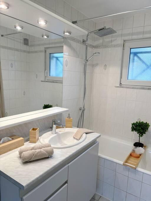 La Petite Luss Apartment Colmar