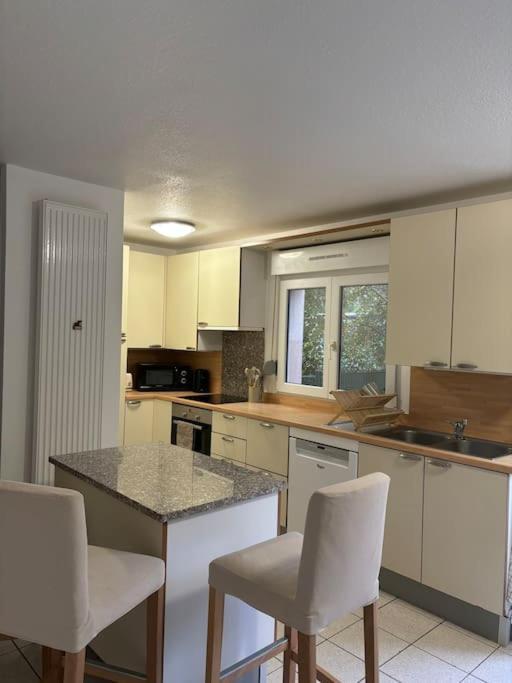 Appartement La Petite Luss Colmar